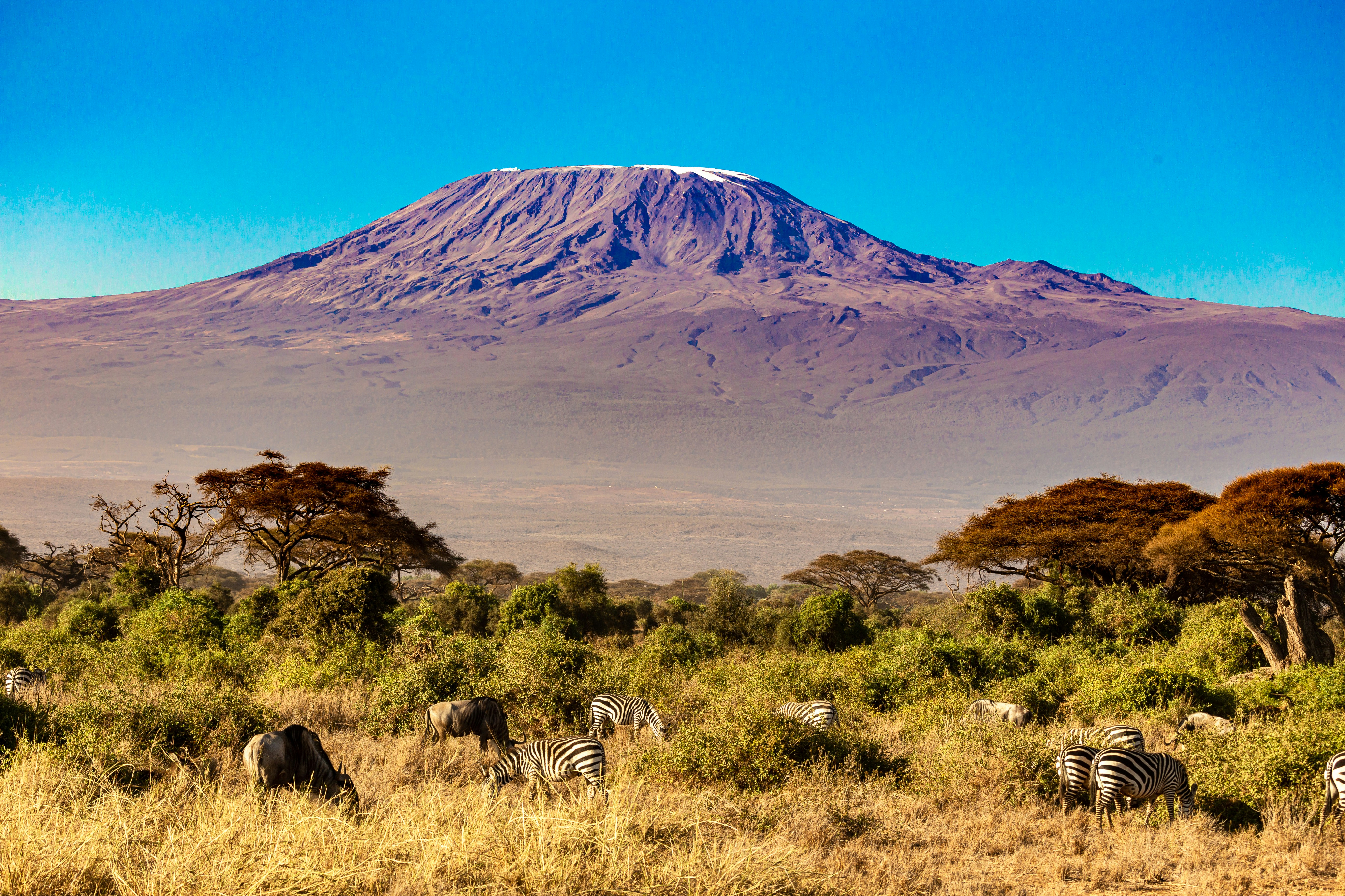 Kilimanjaro Marangu Route