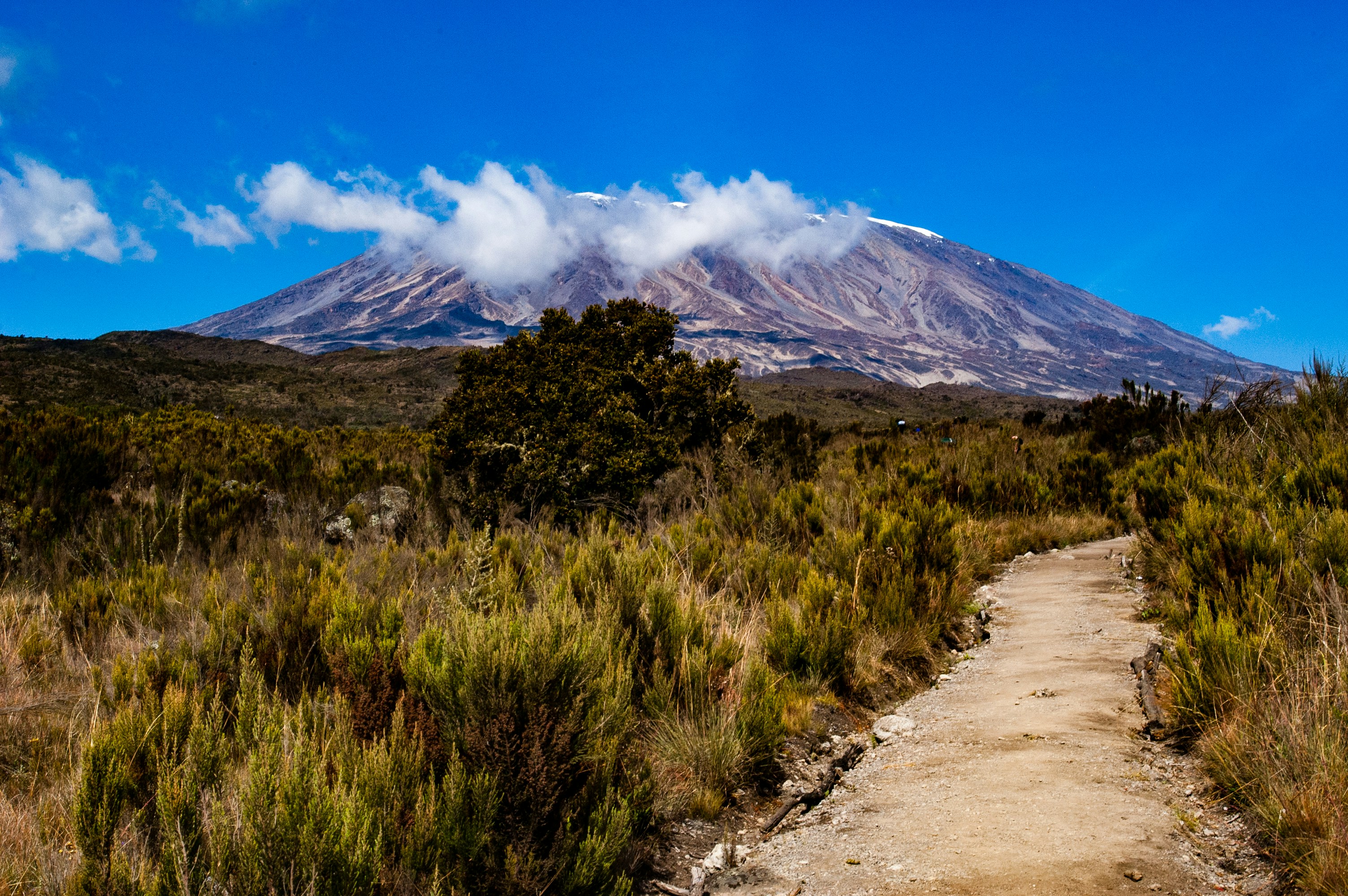 Kilimanjaro Marangu Route
