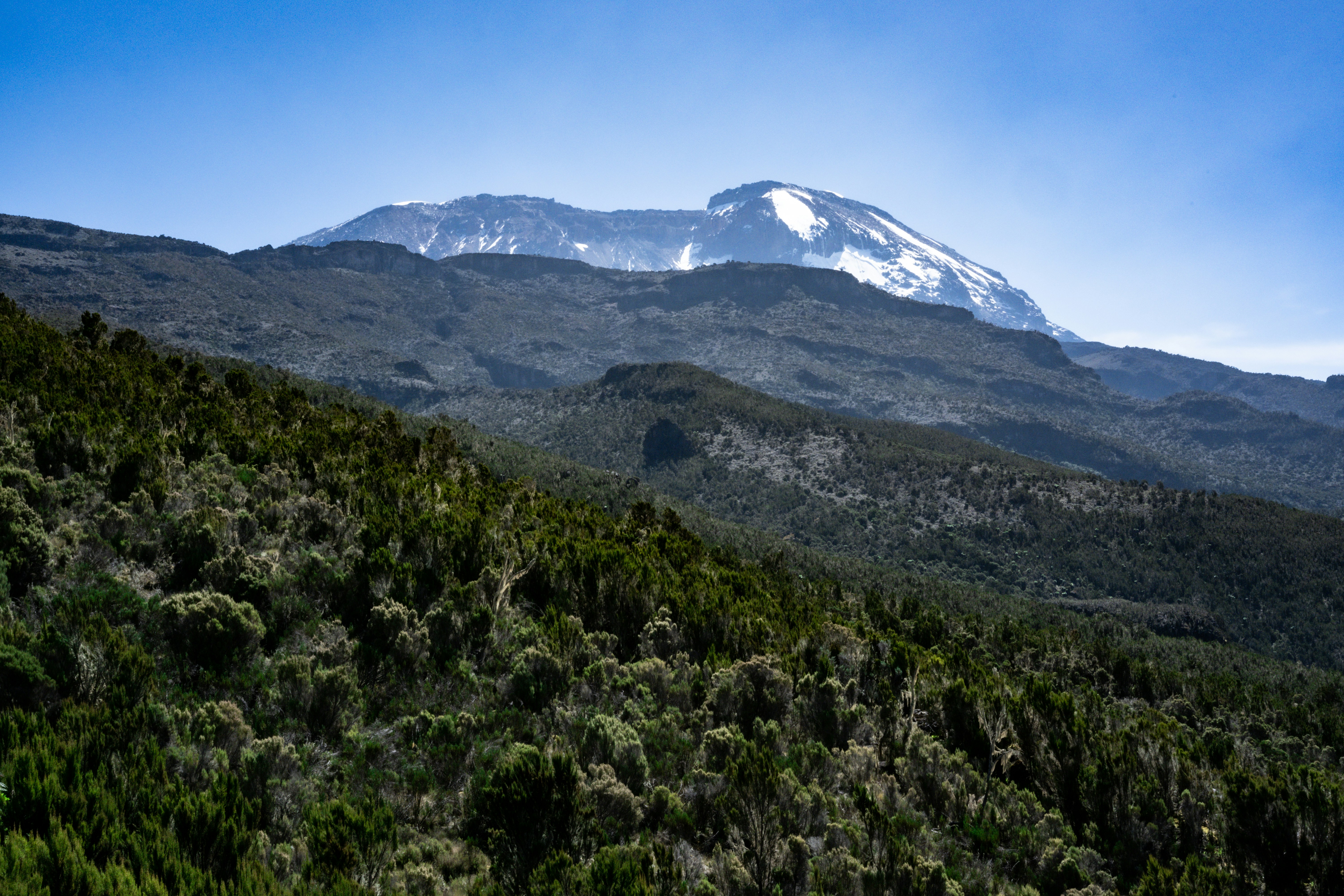 Kilimanjaro Forest Trail