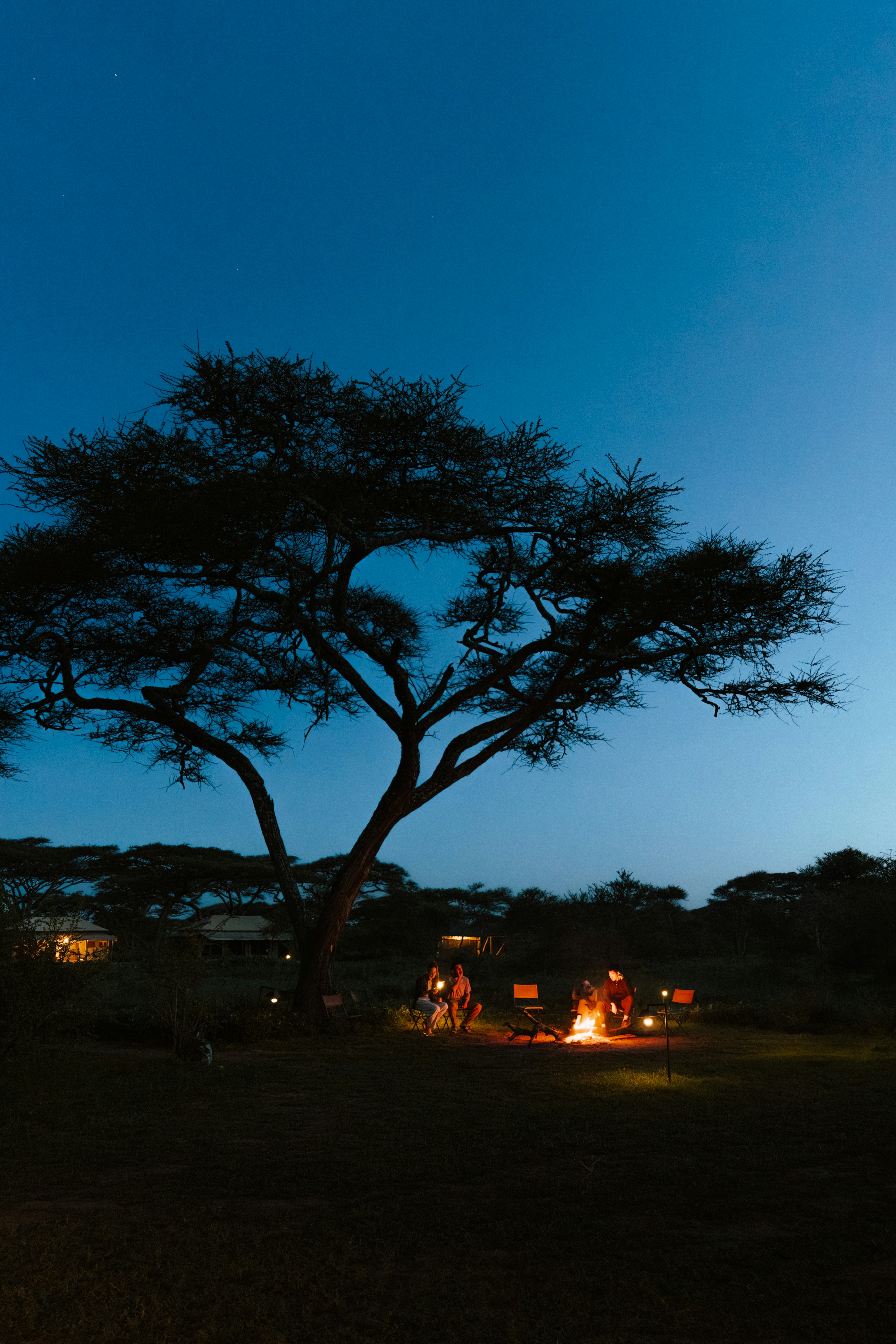 Safari camp at dusk with campfire